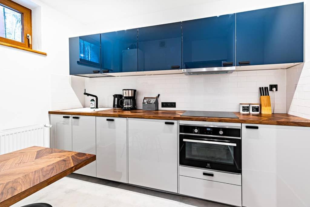 Blick Apartments - Riverview Soft Loft Zgorzelec Kültér fotó